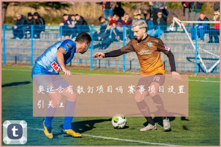 奥运会有散打项目吗 赛事项目设置引关注