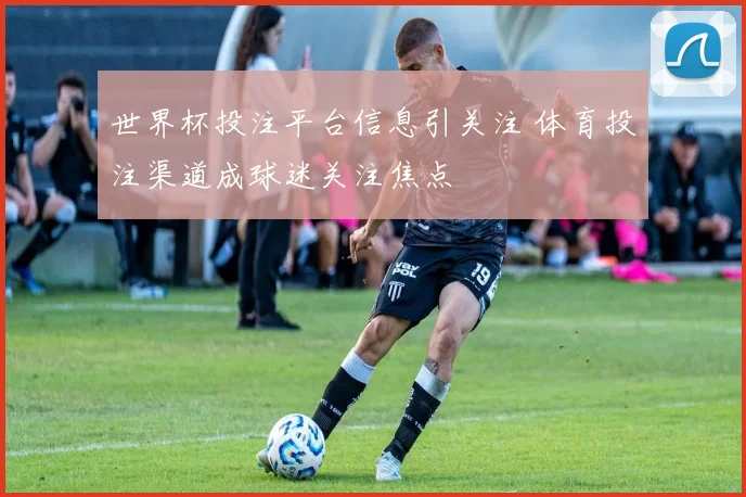 世界杯投注平台信息引关注 体育投注渠道成球迷关注焦点