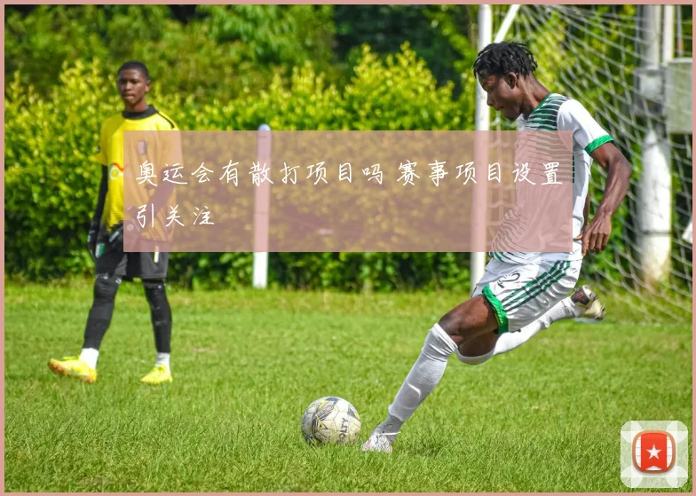 奥运会有散打项目吗 赛事项目设置引关注