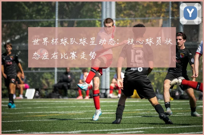 世界杯球队球星动态:核心球员状态左右比赛走势