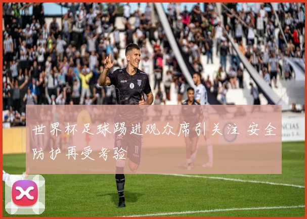 世界杯足球踢进观众席引关注 安全防护再受考验
