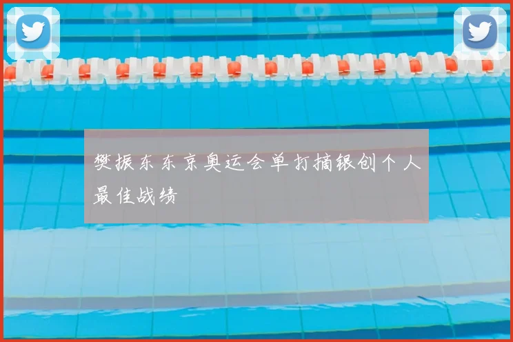 樊振东东京奥运会单打摘银创个人最佳战绩